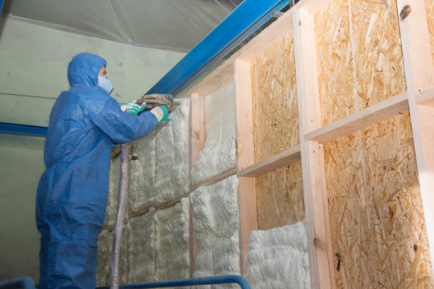 Best Affordable Insulation Services  in USA