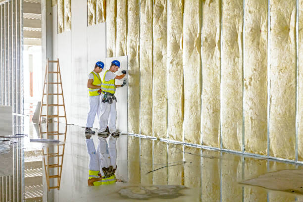 Best Insulation Removal Services  in USA